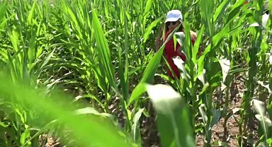 Diyarbakır'da kaybolan 8 yaşındaki Narin ile ilgili haberlere yayın yasağı getirildi