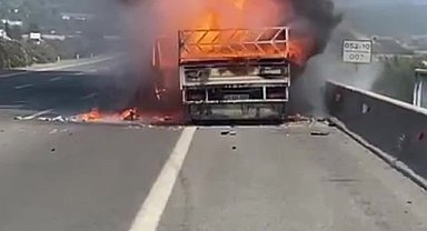 Düziçi'nde kimyasal ürün taşıyan kamyonet yandı