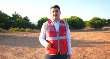 İstanbul'da sokak hayvanları için Kayışdağı Ormanı'nda 80 bin metrekarelik alanda rehabilitasyon merkezi kurulacak