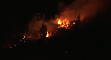 İzmir'in Menderes ilçesine bağlı Şaşal köyünde orman yangını devam ediyor 