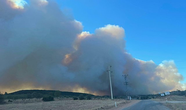 Manisa Büyükşehir Belediyesi: Yangınla mücadele devam ediyor