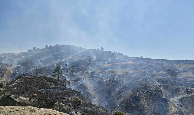 Manisa'nın Gördes ilçesinde çıkan orman yangını nedeniyle iki mahalle tahliye edildi