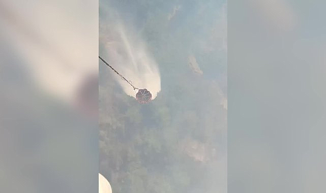 Manisa'nın Gördes ilçesinde dün başlayan orman yangınını söndürme çalışmaları devam ediyor