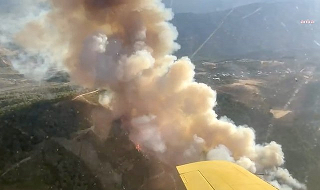 Manisa'nın Şehzadeler ilçesinde çıkan orman yangını kontrol altına alındı