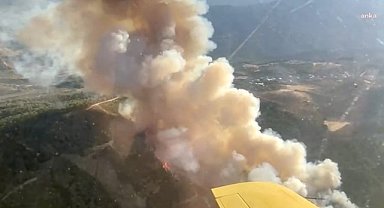 Manisa'nın Şehzadeler ilçesinde çıkan orman yangını kontrol altına alındı