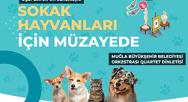 Muğla Büyükşehir Belediyesi'nden sokak hayvanları yararına müzayede 