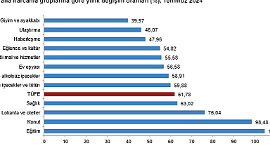 TÜİK: Temmuz ayı enflasyonu yüzde 3,23 arttı, yıllık enflasyon yüzde 61,78