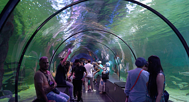 Tuzla Belediyesi, anne ve çocuklar için akvaryum turu düzenliyor