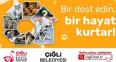 Çiğli Belediyesi'nin Evcil Hayvan Sahiplendirme Platformu hizmete girdi: "Bir dost edin, bir hayat kurtar"