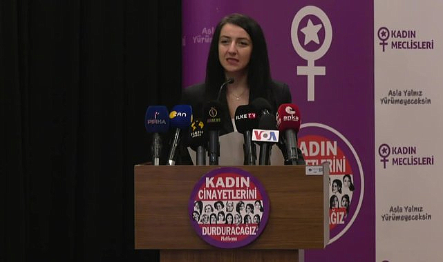 Kadın Cinayetlerini Durduracağız Platformu, 6284 sayılı kanunun uygulanması için seferberlik başlattı