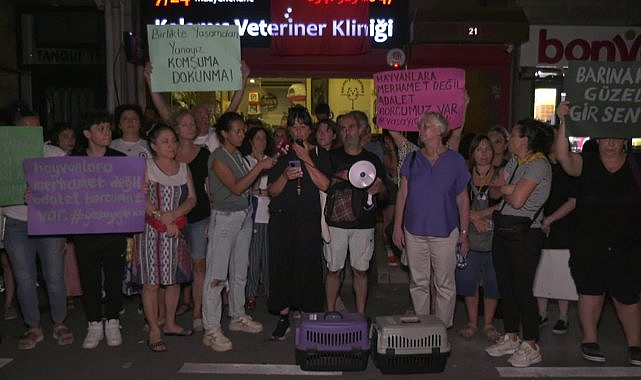 Kalamış'taki kedi zehirlenmeleriyle ilgili açıklama: "Sokak hayvanlarının yaşam haklarını savunacağız"