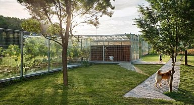 Karşıyaka Belediyesi'nden yeni hayvan barınağı