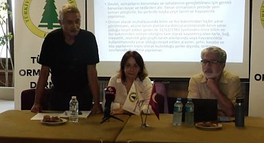 Türkiye Ormancılar Derneği: Ormanları yerleşim alanına dönüştürmenin önünü açan ek-16'ncı madde kaldırılmalı