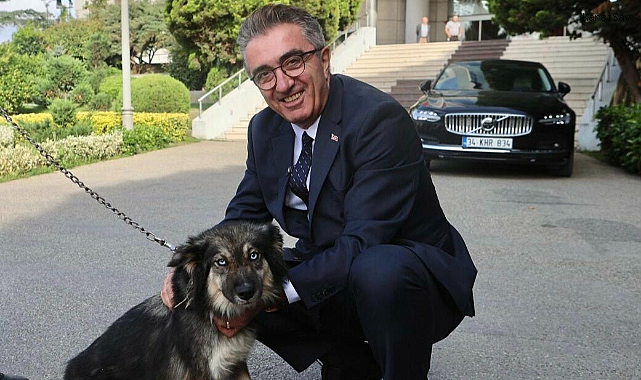 Bayrampaşa Belediye Başkanı Mutlu, barınaktan köpek sahiplendi