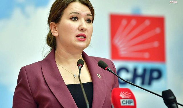CHP'li Gökçen'den AK Partili Çelik'e tepki: "Katledilen kadınlar, serbest kalan katiller algı değil gerçek"