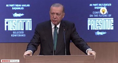 Cumhurbaşkanı Erdoğan: "İsrail, başta Güvenlik Konseyi olmak üzere BM'ye alanen meydan okumuştur"