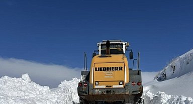 Hakkari'de bir metreye ulaşan kar yüksekliği birçok yerde ulaşımı kapadı