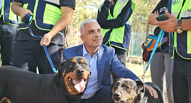 İETT, İBB Sahipsiz Hayvan Geçici Bakımevi'nde bulunan 4 köpeği sahiplendi