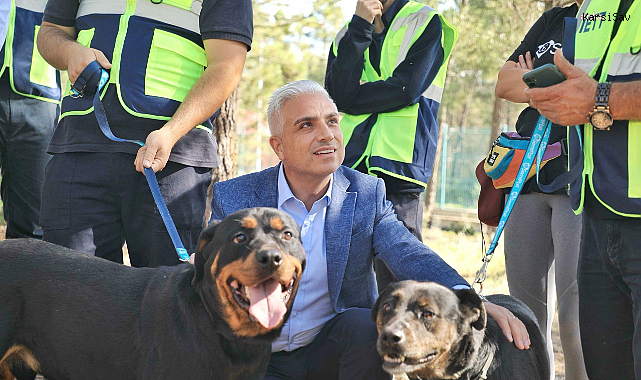 İETT, İBB Sahipsiz Hayvan Geçici Bakımevi'nde bulunan 4 köpeği sahiplendi
