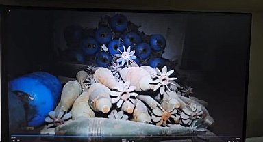 IŞİD'ın bombacısı İstanbul'da yakalandı