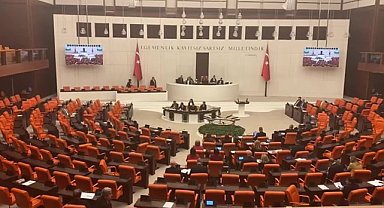 Mecliste, Narin Güran ve kadın cinayetlerine 1 dakikalık sessizlik eylemi