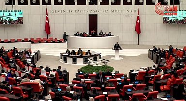 Yenidoğan ölümleri için Meclis Araştırma Komisyonu kuruldu: 