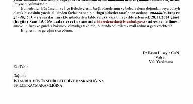 İstanbul Valiliği, belediyelere yazı gönderdi: Kreş, anaokulu sayılarını bildirin