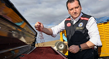 Silivri Belediyesi, 360 dekarlık arazide buğday ekti