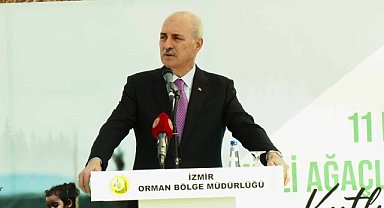 TBMM Başkanı Kurtulmuş: Ormanlar rant yerleri haline getiriliyor