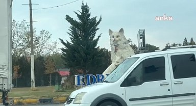 Van'da izinsiz uçurulan dronlar nedeniyle üç uçak Diyarbakır'a yönlendirildi