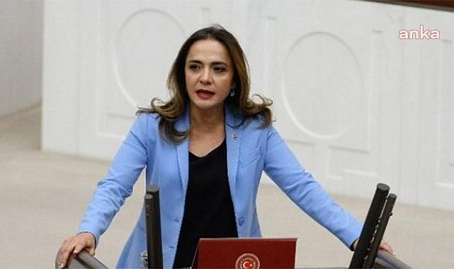 CHP'li İlgezdi: