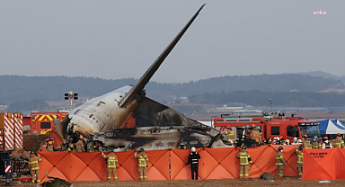 Güney Kore'deki uçak kazasında hayatını kaybeden kişi sayısı 167'ye yükseldi