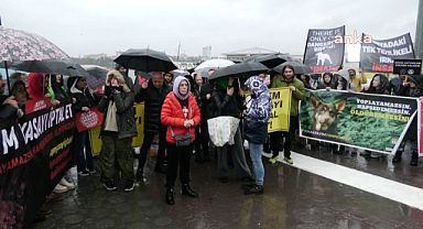 Hayvan hakları savunucularından Mamak tepkisi: 