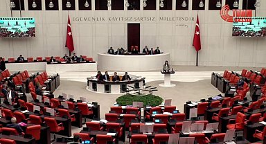 MHP'li Pelin Yılık: 