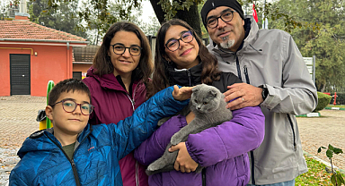 Osmangazi'de yıl boyunca 693 can dostu sahiplenildi