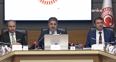 Sağlık Hizmetleri Genel Müdürü, kapatılan 10 hastanenin en fazla fatura kesen hastanelerden olmadığı için denetim kapsamı dışında kaldığını belirtti