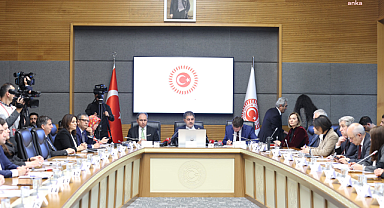 TBMM Bebek Ölümlerini Araştırma Komisyonu'nda Sağlık Bakanlığı yetkilileri, milletvekillerinin sorularını yanıtladı