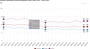TÜİK: İşsizlik oranı yüzde 8,8 oldu, genç nüfusta işsizlik oranı yüzde 16,6