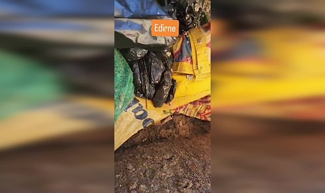 Edirne'de köpek yavrularını çöpe atan 2 şüpheli gözaltında