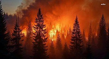 Los Angeles tarihindeki en büyük yangınların nedeni: İklim değişikliği