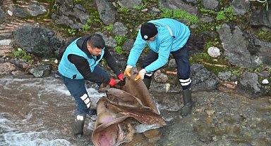 MASKİ'den Çaybaşı Deresi'nde temizlik çalışması
