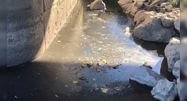 Müzeyyen Şevkin, zehirli atıkları Ceyhan Nehri'ne boşaltan fabrikalarla ilgili Bakanlığı göreve çağırdı