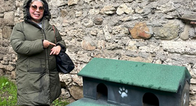 Silivri Belediyesi'nin ahşap malzemeleri sokak kedilerine evlere dönüştürdü