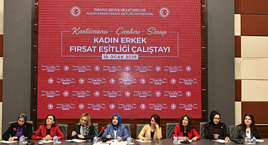 TBMM Kadın Erkek Fırsat Eşitliği Komisyonu, Kastamonu'da buluştu