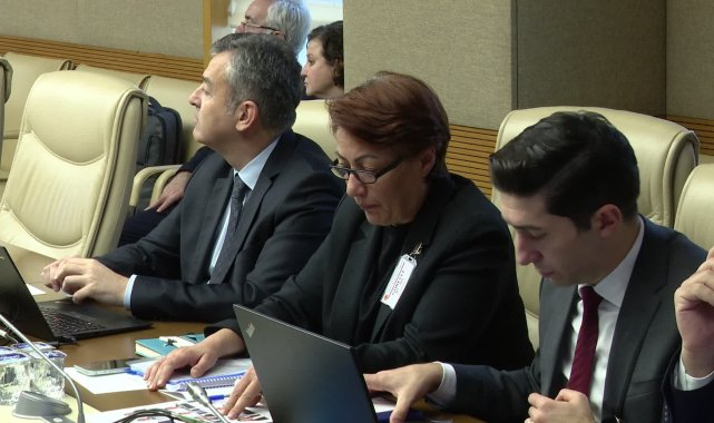 TBMM Yenidoğan Çetesi Araştırma Komisyonu: Hastanelerin denetlenmesinde personel eksiği var