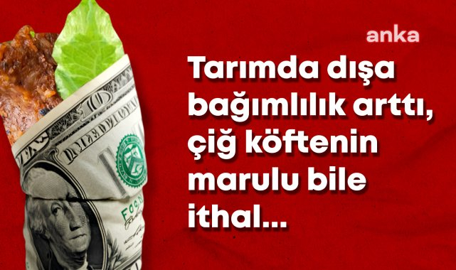 Artık çiğ köftenin de marulu, biberi, bulguru, yağı ithal... Tarıma destek 135 milyar, ithalata 812 milyar TL
