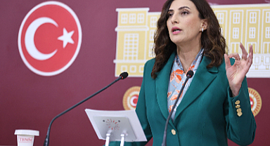 DEVA Partili Rızvanoğlu, 