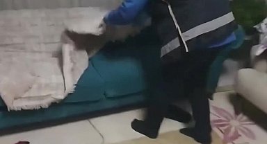 Diyarbakır'da silahlı organize suç örgütüne operasyon: 12 kişi tutuklandı