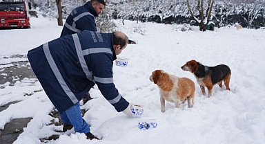 Kartal Belediyesi yoğun kar yağışında Sokak Hayvanlarını unutmadı