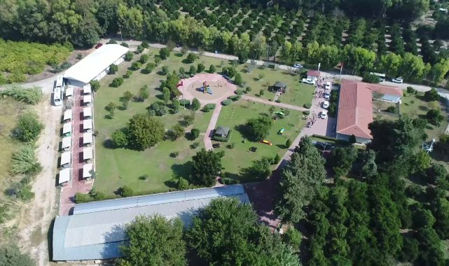 Konyaaltı Belediyesi'nden patili dostlar için sıcak yuva